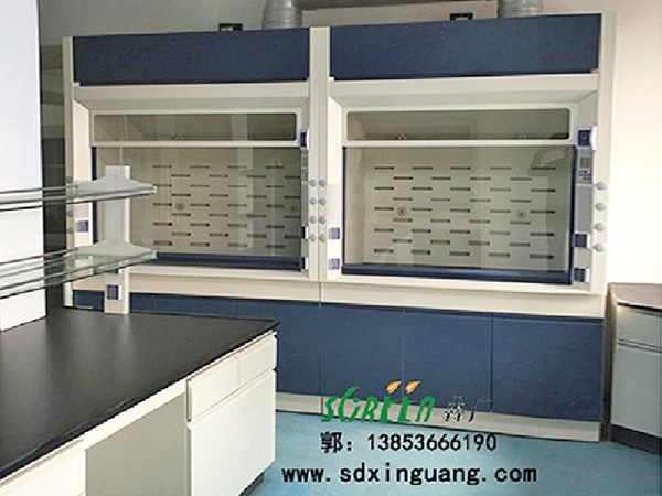 實(shí)驗(yàn)室全鋼通風(fēng)柜