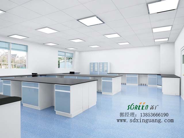 實(shí)驗(yàn)室全木邊臺(tái)，實(shí)驗(yàn)室工作臺(tái)全鋼中央臺(tái)，鋼木物理化學(xué)操作臺(tái)