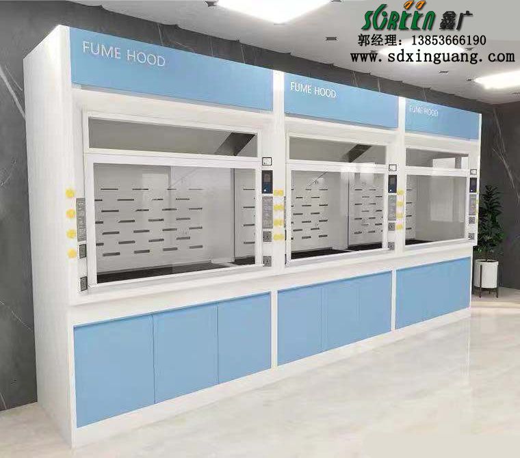 濰濰坊實(shí)驗(yàn)室排毒柜