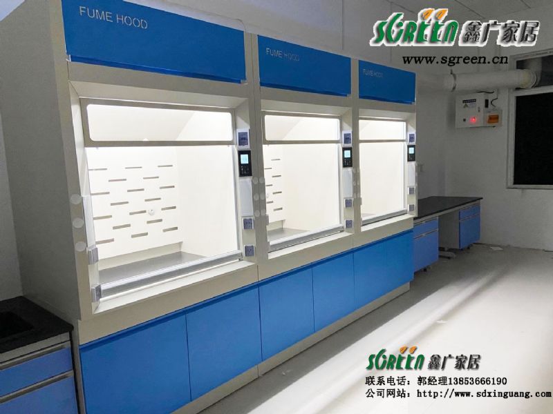 山東濰坊青島威海煙臺淄博菏澤通風柜實驗臺生產廠家