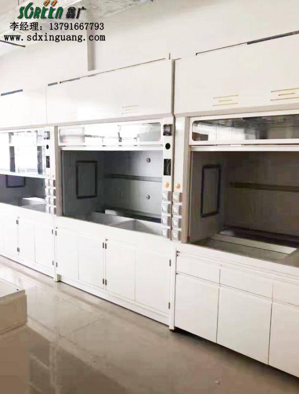 實驗室PP通風柜