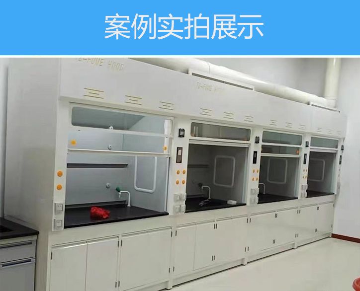 實驗室PP通風柜