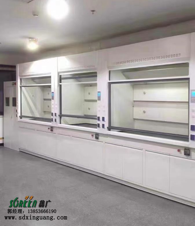 實驗室PP通風柜