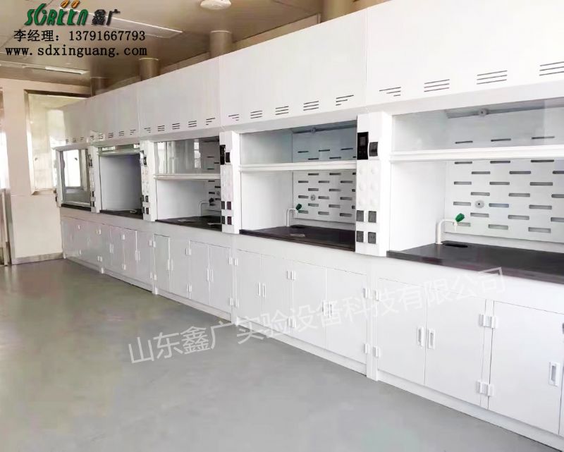 實驗室通風柜廠家