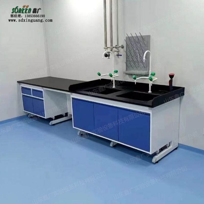 山東鋼木實驗臺 實驗室pp水槽臺 水槽臺帶三口鵝頸水咀