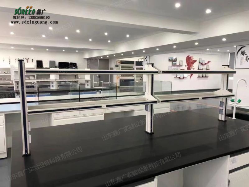 山東實驗室設備 鋼玻試劑架 實驗室邊臺 通風櫥 水槽配件