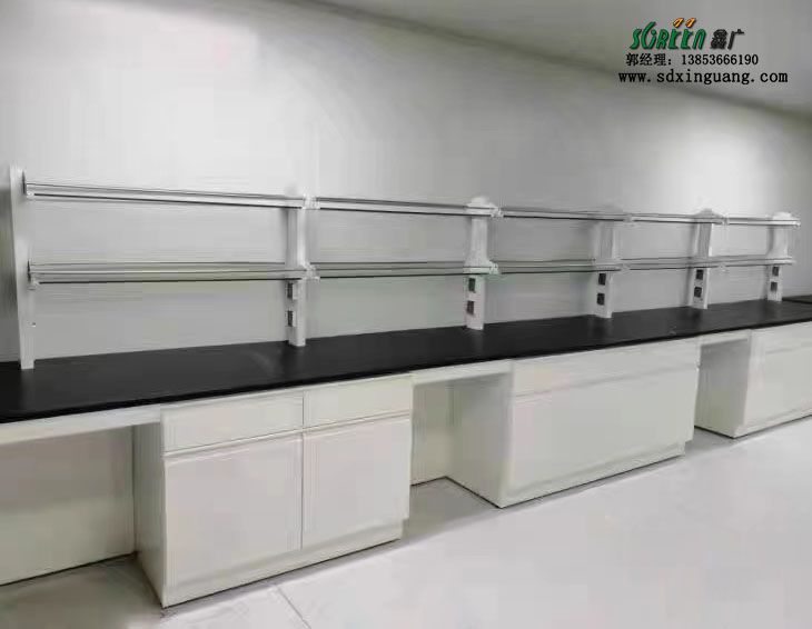 山東濰坊青島淄博煙臺實驗室設備 試劑架 邊臺 通風柜生產廠