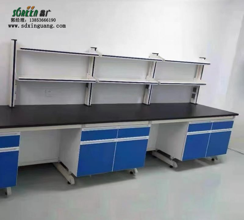 山東濰坊青島煙臺威海定制鋼木實驗臺 通風柜 試劑架 水槽臺