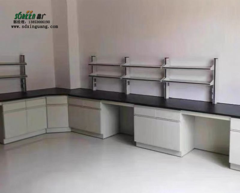 山東鑫廣全鋼實驗臺試劑架 中央操作臺邊臺試劑架