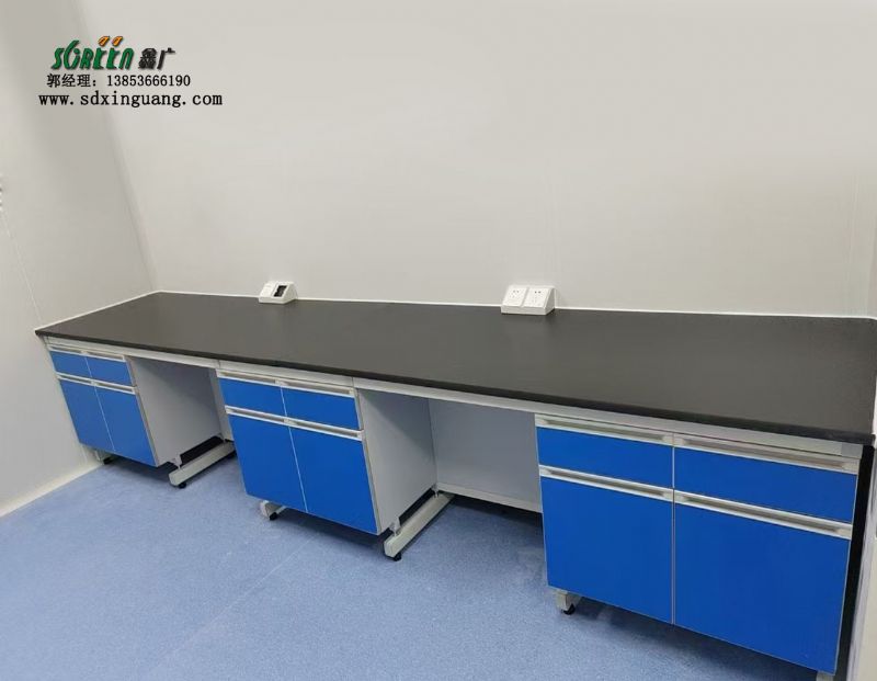 山東濰坊鋼木實驗臺實驗室設備廠家供應