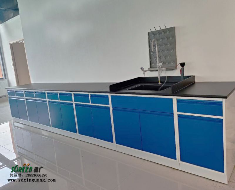 廠家全鋼邊臺實驗室邊臺實驗臺化驗室操作臺