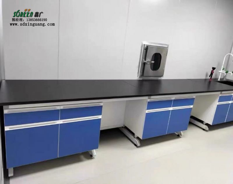 濱州實驗臺廠家實驗操作臺化驗室通風柜供應