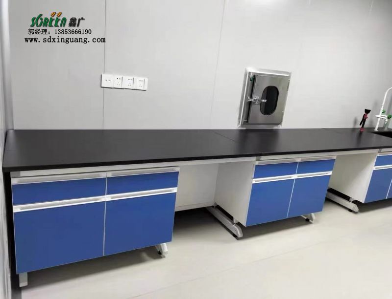 山東東營實驗室家具鋼木試驗臺通風柜定制