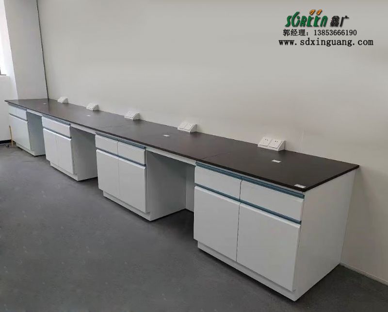 山東全鋼試驗臺實驗室工作臺通風(fēng)櫥廠家