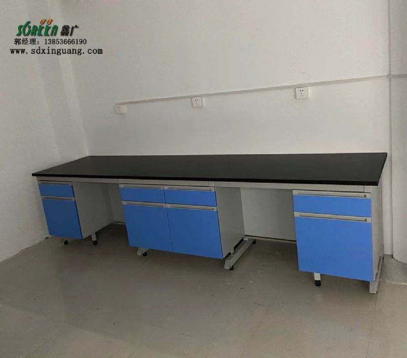 山東實驗室操作臺 實驗室實驗臺 鋼木材質(zhì)耐腐蝕臺面
