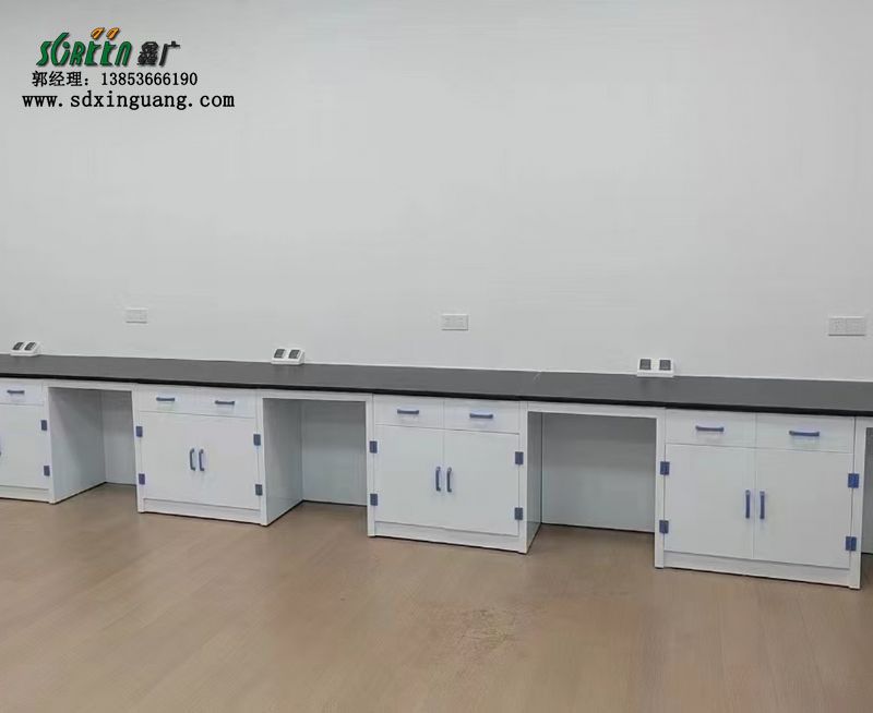 山東實驗室邊臺環氧樹脂臺面PP實驗臺生產廠家