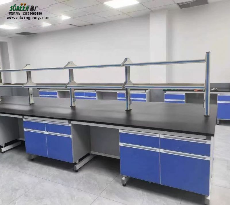 濰坊鋼木實驗臺邊臺化驗室工作臺支持定制