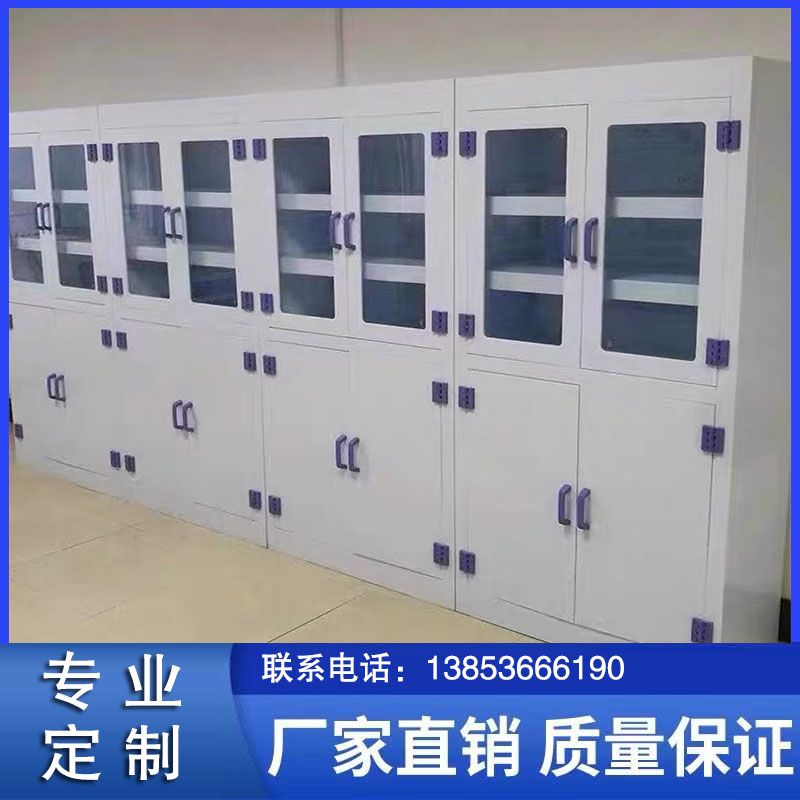 山東實驗室家具pp器皿柜 實驗室試劑柜生產(chǎn)
