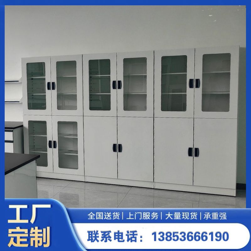 山東實驗室設備實驗室器皿柜 化驗室試劑柜