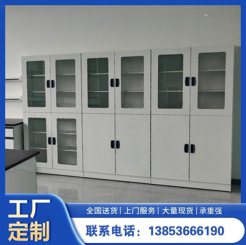山東實驗室設備實驗室器皿柜 化驗室試劑柜