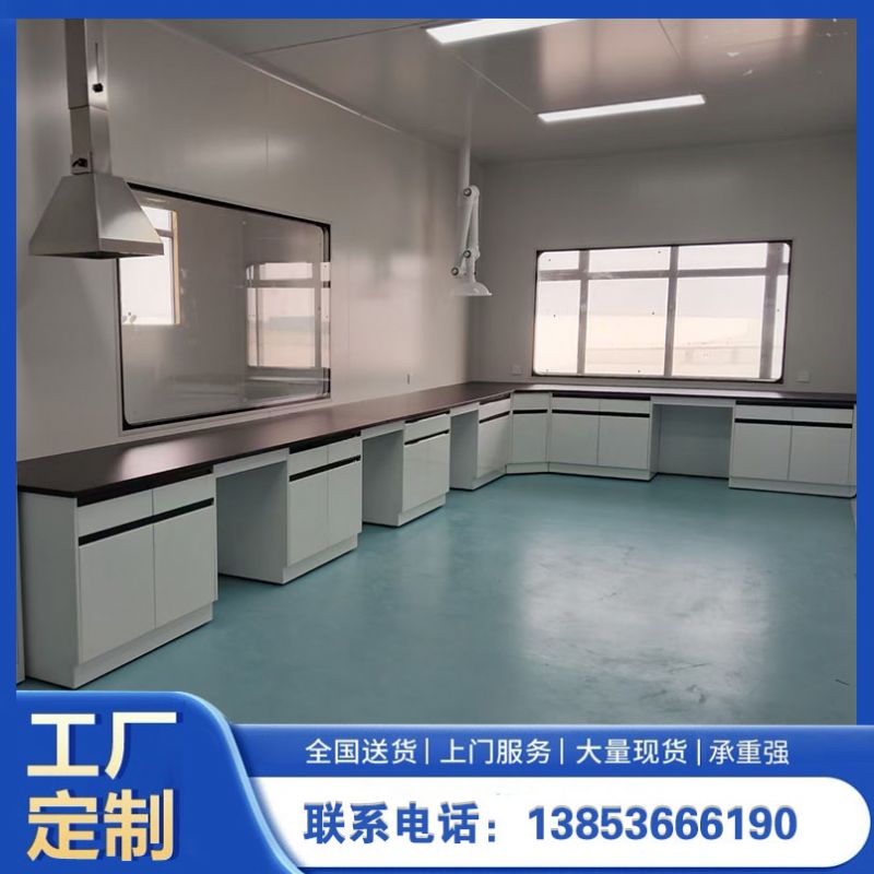 鑫廣 全鋼實驗臺化驗室操作臺 全鋼鋼木pp材質